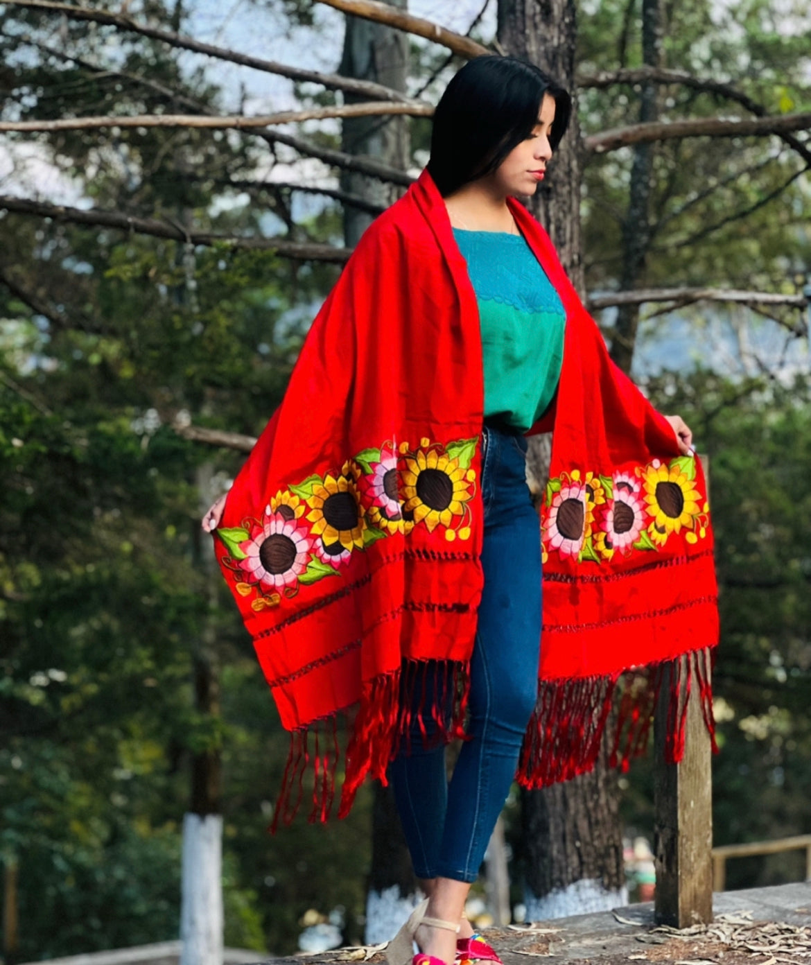Rebozos y Ponchos